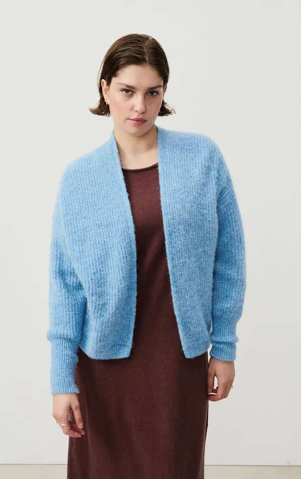 American Vintage Jumpers and Cardigans Women Cardigan East Melange Sky