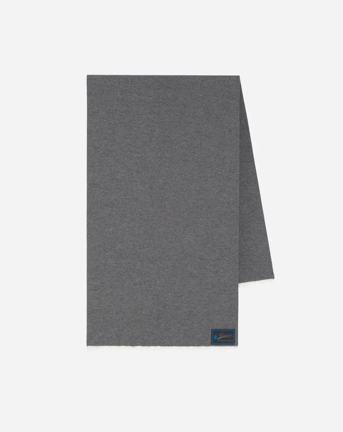 Cashmere Scarf Grey Women Lanvin Silks and Scarves