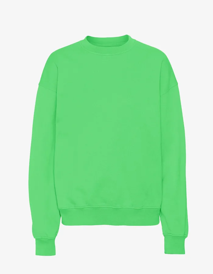 Colorfulstandard Organic Oversized Crew 8211 Spring Green Men Crewneck Sweatshirts