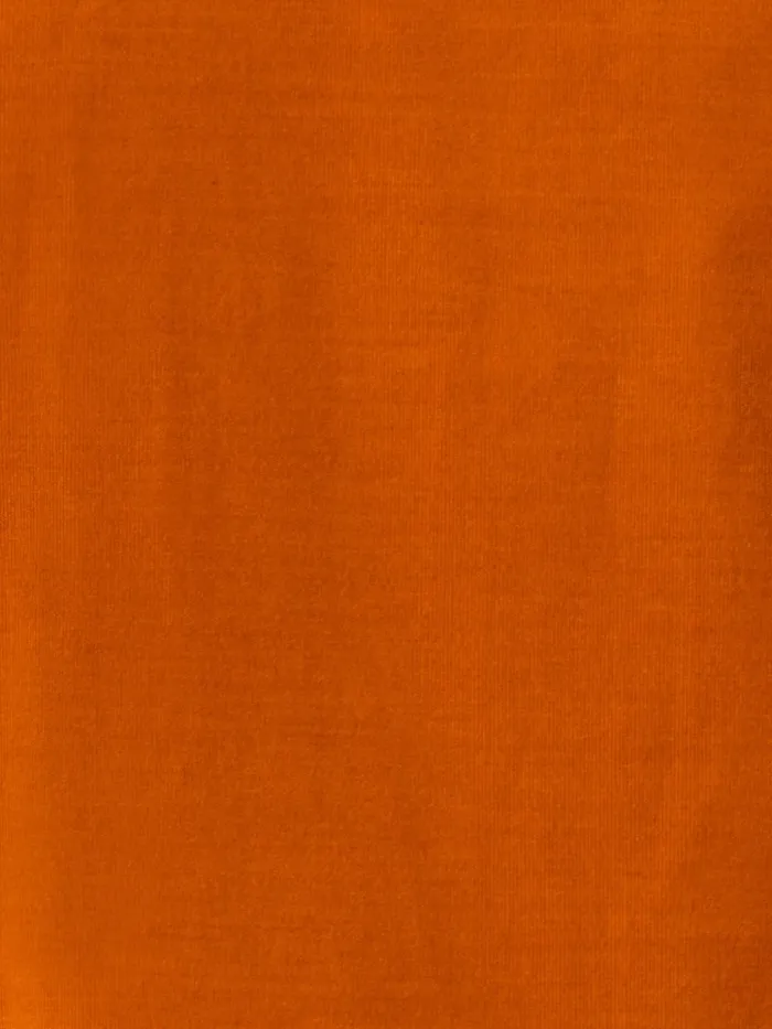 Cotton Cashmere Stretch Corduroy Blouse Pumpkin Women Akris Blouses