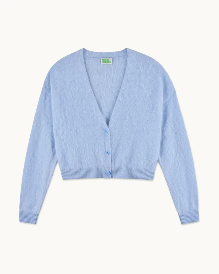 From Future Cashmere Cardigans Women Brushed Cardigan Sweater Baby Blue
