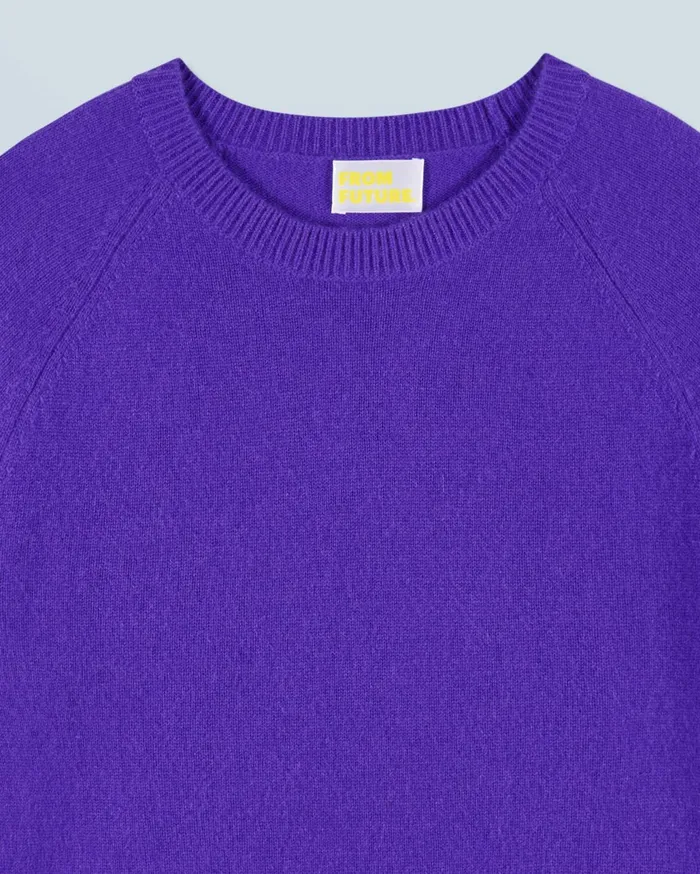 From Future Cashmere Sweaters Women Light Crewneck Sweater Pop Purple