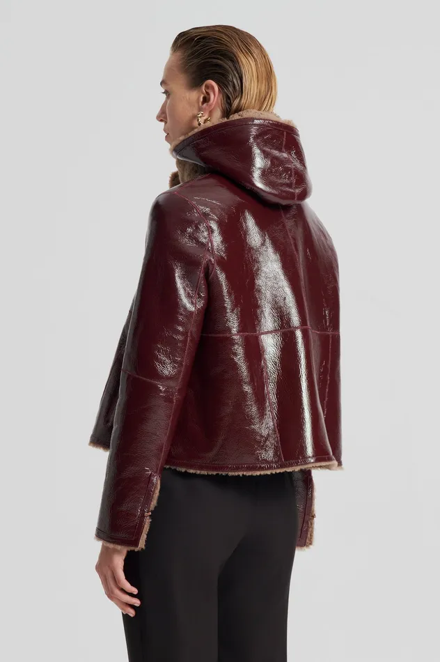 Leather SHEARLING JACKET RASBRRYCAMEL 8211 Scanlan Theodore Women
