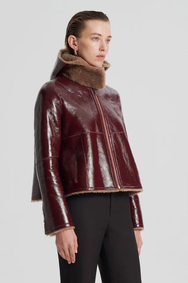 Leather SHEARLING JACKET RASBRRYCAMEL 8211 Scanlan Theodore Women