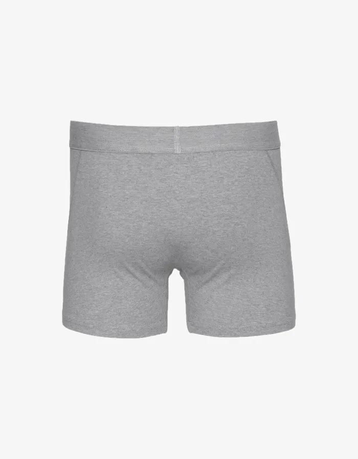 Men Classic Organic Boxer Briefs Heather Grey Colorful Standard Underwear