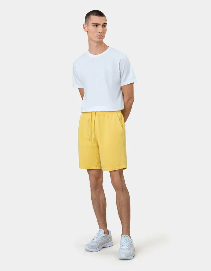 Men Classic Organic Sweatshorts Storm Grey Colorful Standard Shorts