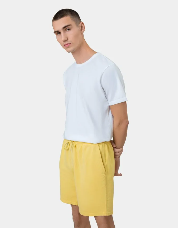 Men Classic Organic Sweatshorts Storm Grey Colorful Standard Shorts
