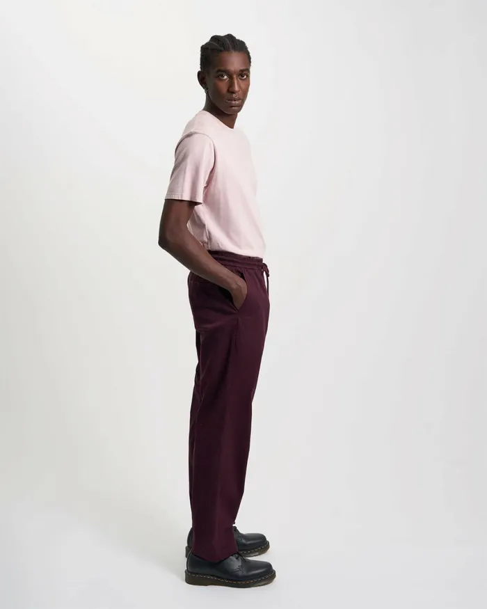 Men Organic Twill Pants Optical White Colorful Standard Pants