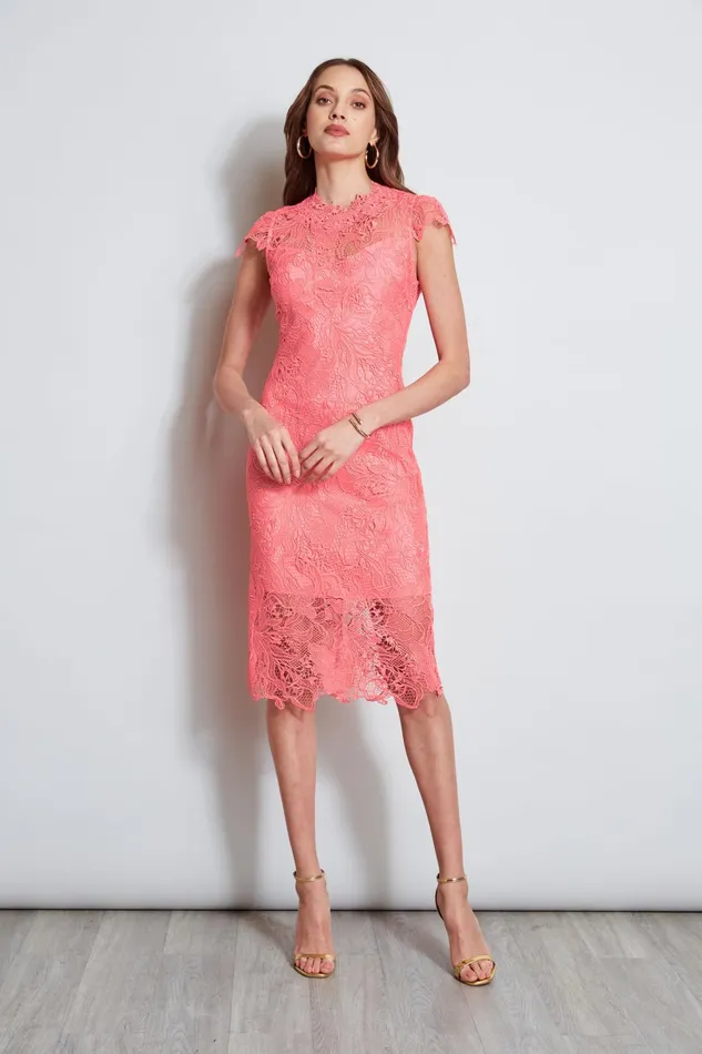 Outlet 8211 Women Midi Dresses Elie Tahari Lace Applique Midi Dress Petal