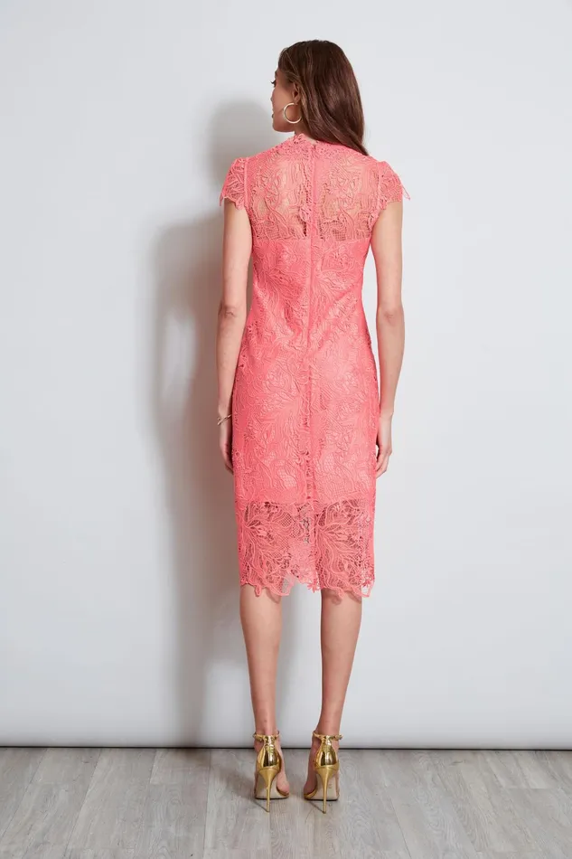 Outlet 8211 Women Midi Dresses Elie Tahari Lace Applique Midi Dress Petal