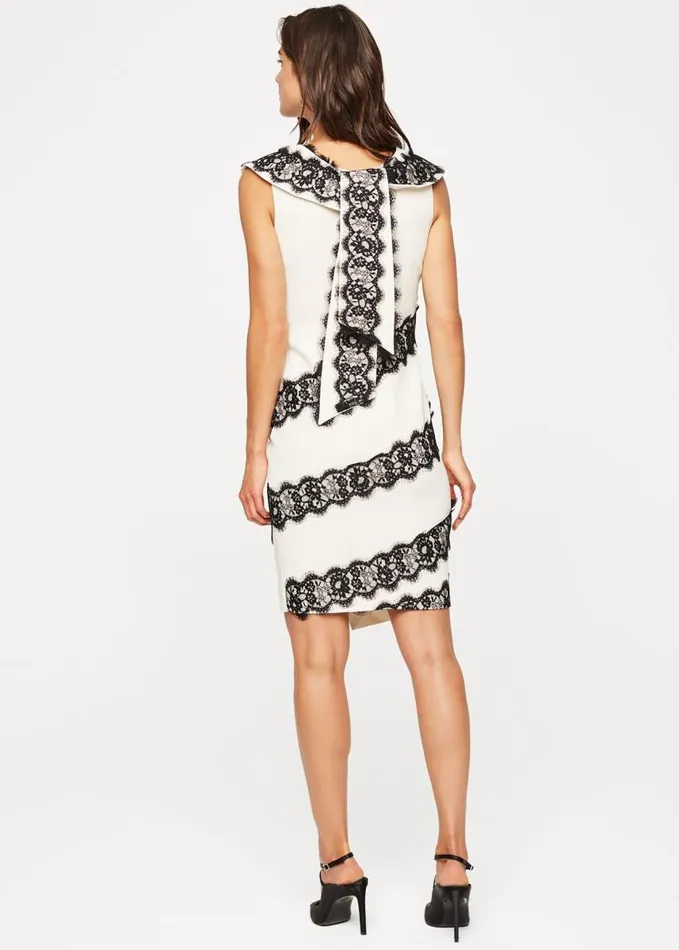 Phase Eight Martyne Lace Dress Blackwhite Women Dresses