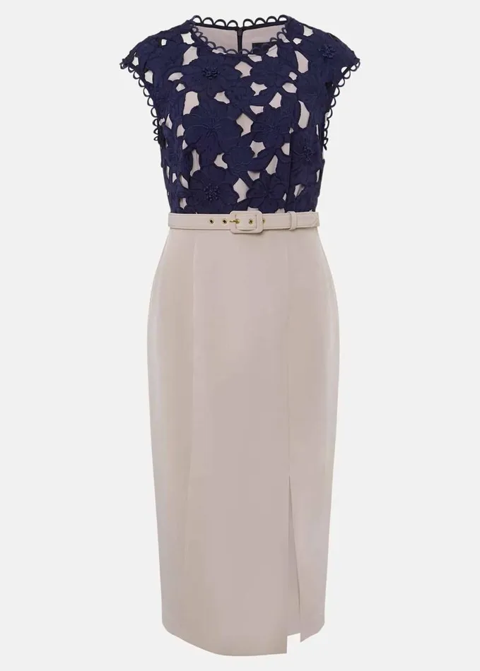 Phase Eight Zita Lace Sleeveless Dress Lattenavy Women Dresses