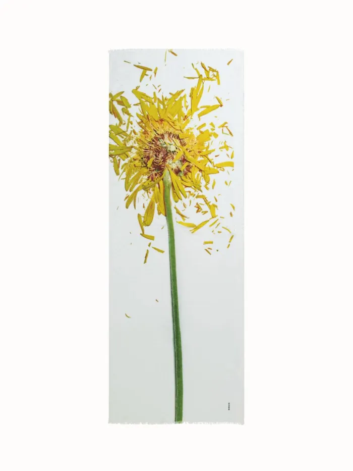 Scarf Cashmere Silk Scattered Calendula Print Calendula Women Akris Cashmere