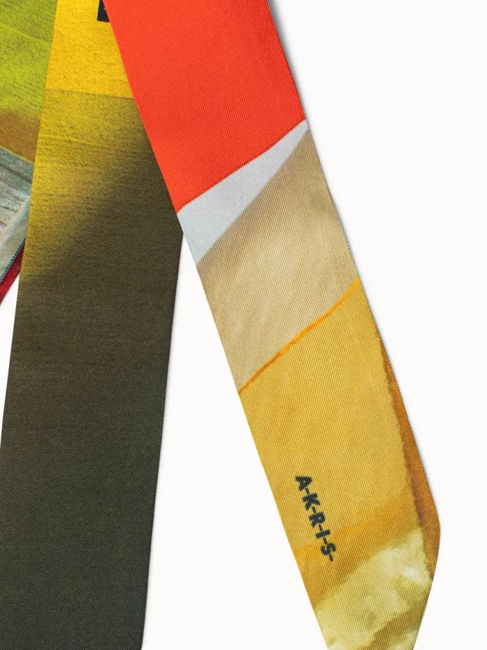 Silk Twill Liquid Light Print Twilly Multicolor Women Akris Twill Scarves