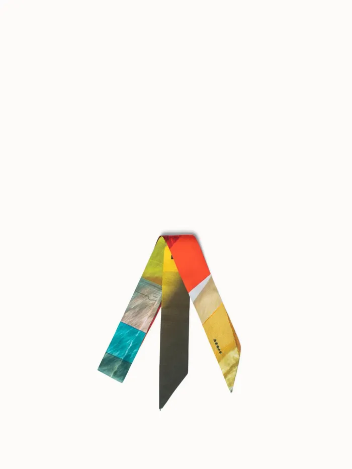 Silk Twill Liquid Light Print Twilly Multicolor Women Akris Twill Scarves