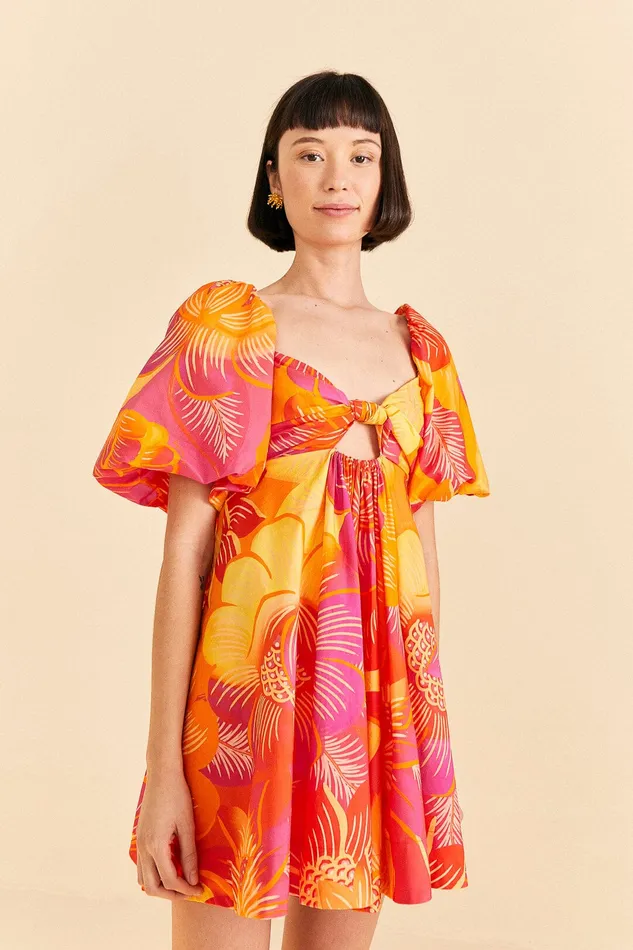 Summer Garden Ombre Mini Dress Women Farm Rio Mini Dresses