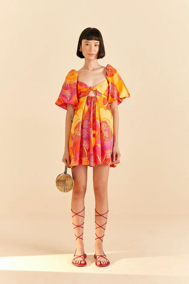 Summer Garden Ombre Mini Dress Women Farm Rio Mini Dresses