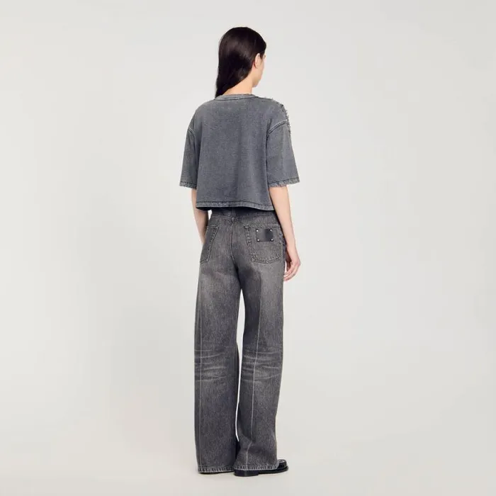 Tops and Shirts Women SANDRO Rhinestone Cropped Tshirt Grey