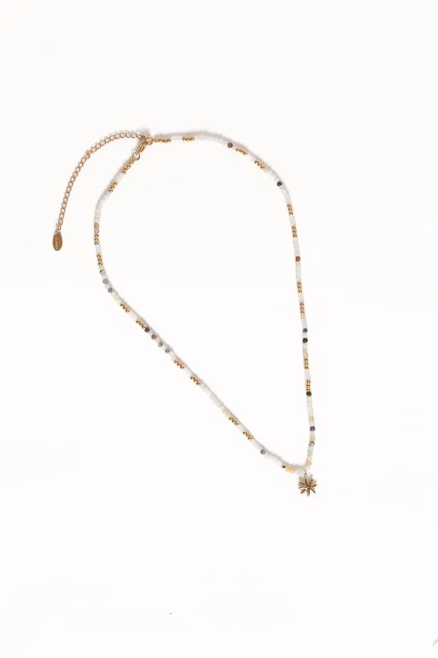 Women Carter Necklace 8211 Gold Gold Necklaces petalandpup