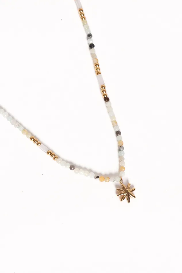 Women Carter Necklace 8211 Gold Gold Necklaces petalandpup