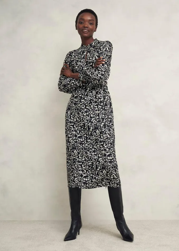 Women Dresses and Jumpsuits Hobbs Cynthia Dress Black Cream