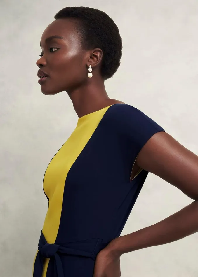 Women Dresses and Jumpsuits Hobbs Emery Tie Belted Dress Navy Yellow