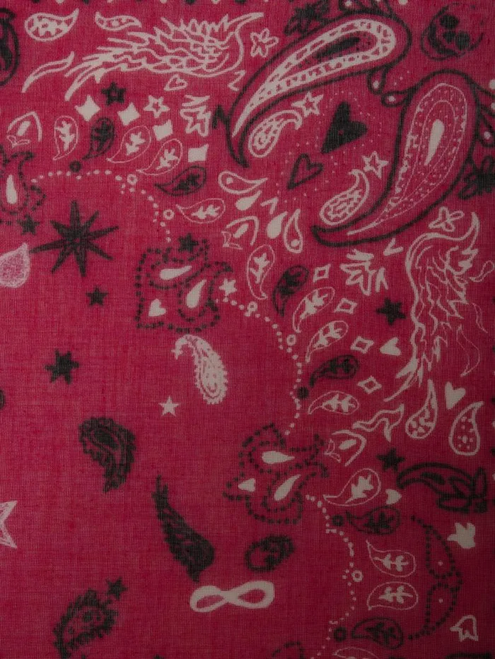 WomenMen Zadig and Voltaire Scarves Maddie Scarf Framboise WomenMen Zadig and Voltaire Scarves Maddie Scarf Framboise